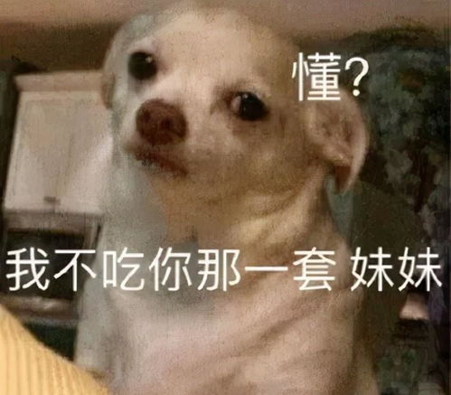  王力宏骗婚出轨娱乐圈多的是,你不知道的事