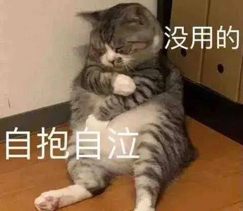  年末了,给自己一个总结吧