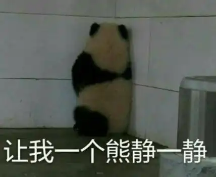  除甲醛公司到底靠谱吗