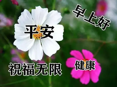  6月26日最漂亮早上好动态表情图片大全,早晨好动图美图大全