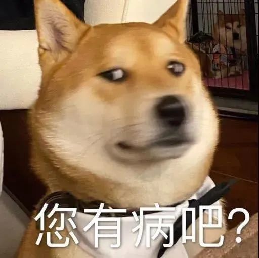  表情温柔这一味真是人间良药