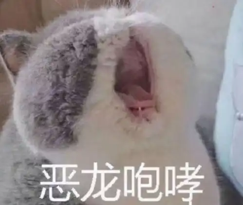  高考时,那些不靠谱和过于靠谱的家长,承包了我的笑点