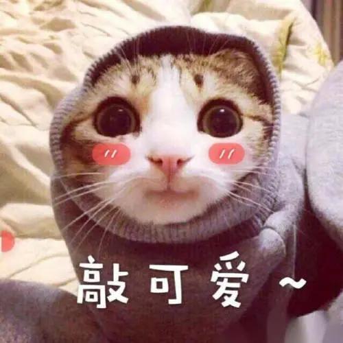  忘记电子税务局的申报密码怎么办查税宝周三见