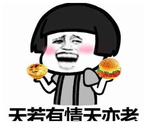  开心一笑中考成绩一出来高中没考上,老爸安慰道你去学兽医吧