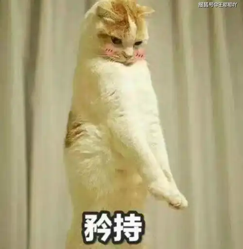  搞笑gif段子女朋友第一次来我家就干这活,我妈都高兴坏了