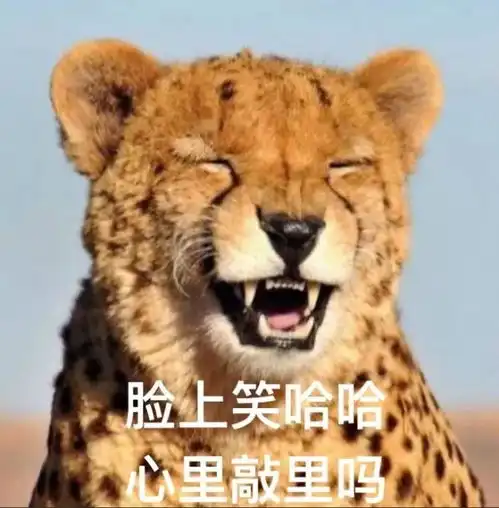  致婊子