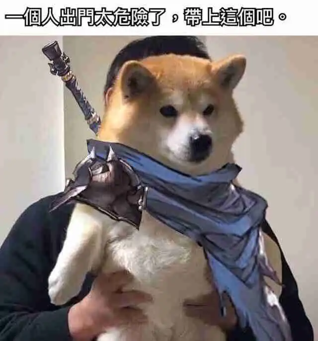  一个人出门太危险了,带上这个吧表情包什么意思