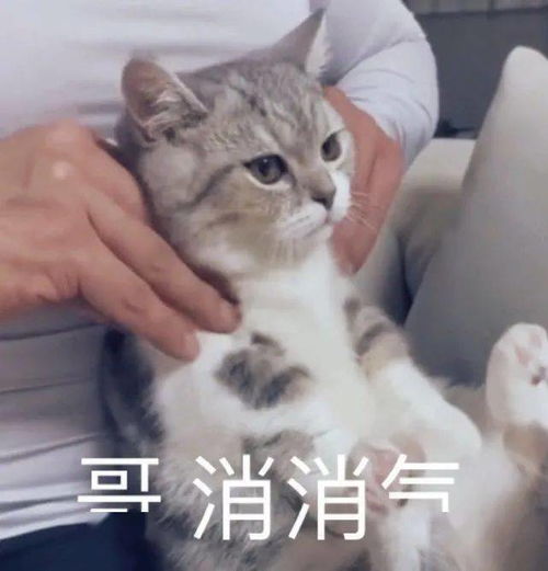 我妈居然这么说我哈哈哈太刺激了我不敢看