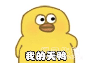  我的天鸭表情包合集我的天鸭表情素材v1.0官方版软件下载
