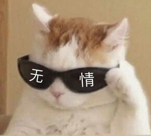  金秋上课通勤必备十几只实用又时尚的大容量包包,超能装