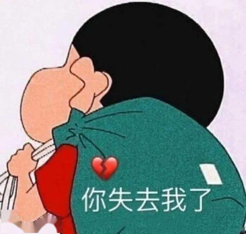  蜡笔小新表情包你失去我了