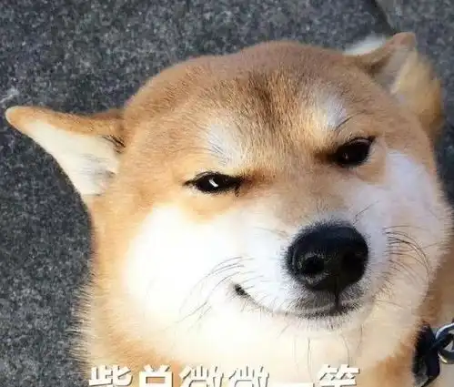  话题表情包,哄生气的闺蜜,搞笑委屈斗图表情不能少