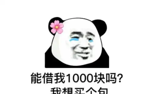  借钱表情包能借我点小钱吗我想买个1000的小包包