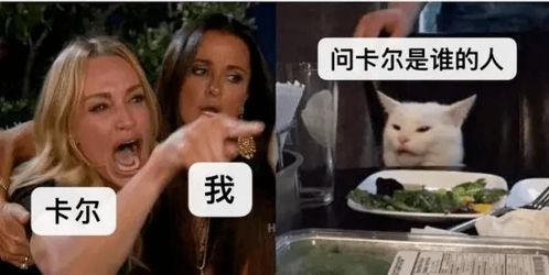  最近很火的刺猬卡尔是什么梗超全表情包来啦