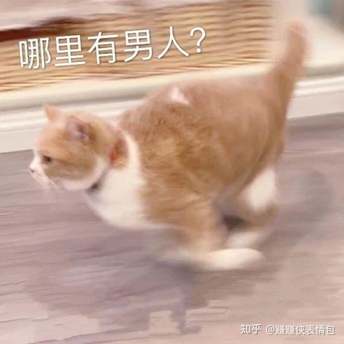 黑表情包图片大全搞笑生