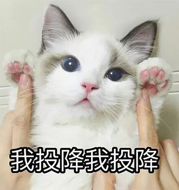  一句话自夸大学专业,回答简直丧心病狂