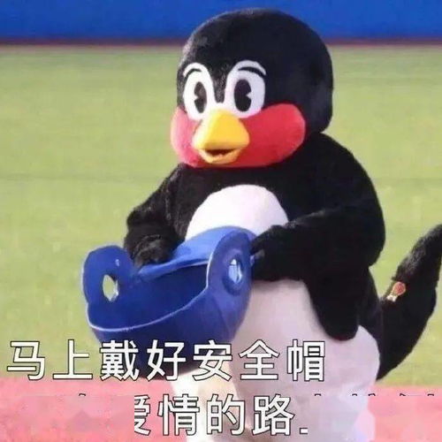  分手后花1800报了个挽回班哈哈哈哈