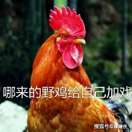  最新热门表情包图片微信聊天必备,哇