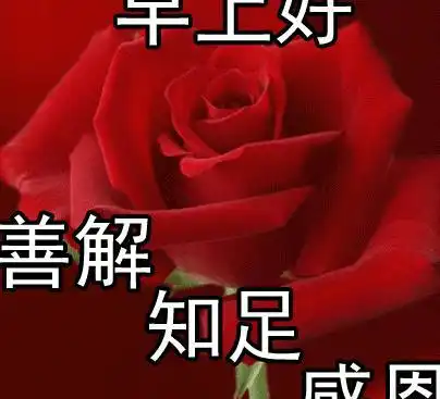  6月夏天早上好表情动态鲜花图片大全问候语早上好表情动态2020