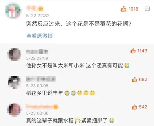  袁隆平爷爷去世,全国人民为这只小奶猫操碎了心