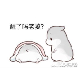  仓鼠球表情包系列老婆起床