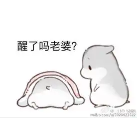 表情包动画起床