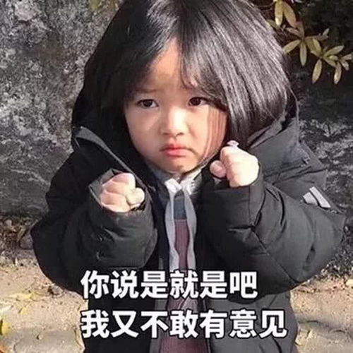 表情包分类陈婷婷