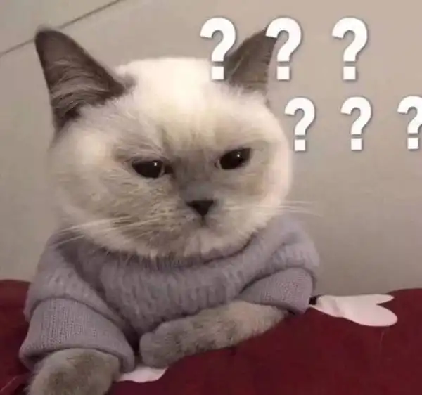  求这张猫猫一脸问号表情包原图高清,谢谢呀