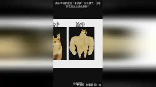  狗头表情包原型卡波酱去汪星了,没想到它的出生这么悲惨