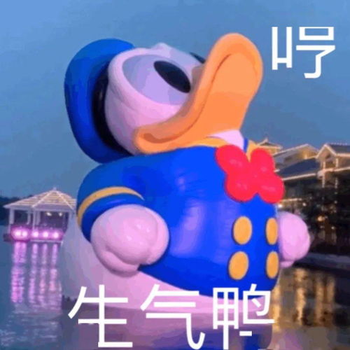  火锅店千万不要摆绿植,你永远不知道客人喝醉了会笑岔气哈哈哈哈哈哈哈哈