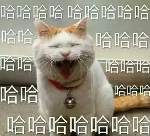  全都是真的2018年度全国最傻警情盘点,太好笑了哈哈哈