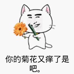 慕容嗷嗷表情包爆菊
