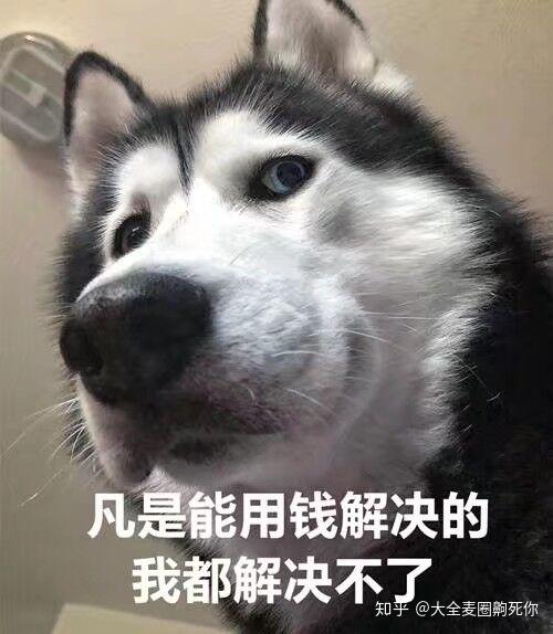  javaweb解决url中不能传中文问题思路
