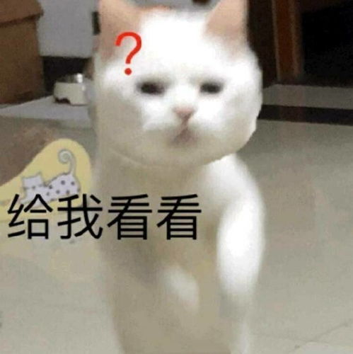 猫捏脸表情包手绘仙女