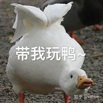  和喜欢玩游戏的男孩子聊什么话题