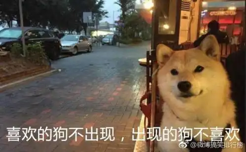  有没有类似文字有点非的表情包