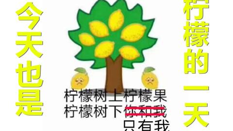  今天你恰柠檬了吗分享一组柠檬精表情包