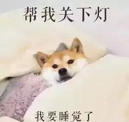  俄罗斯人教你如何治疗失眠