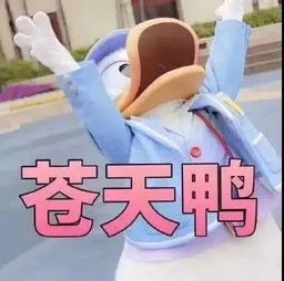求婚表情包阵雨
