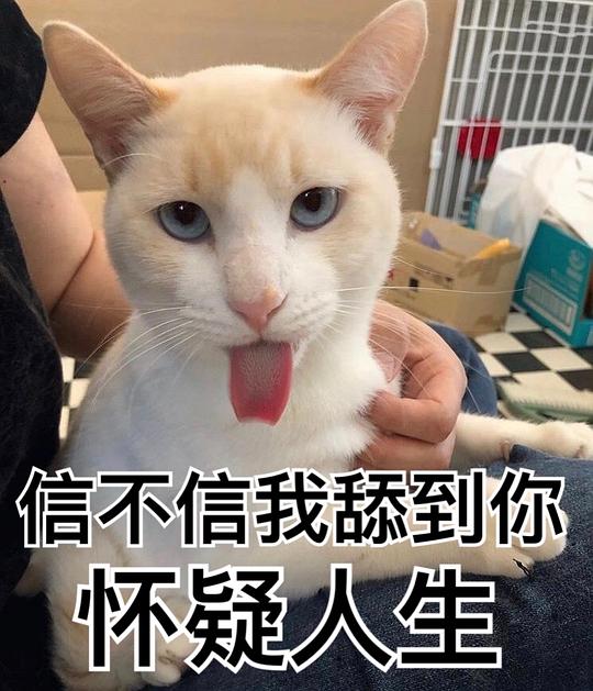  黑猫十一的相册我用别人家主子作过的表情包