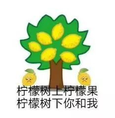  微信搜一搜推出2019年度表情包