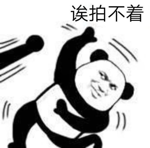  qq也有拍一拍,比微信好玩