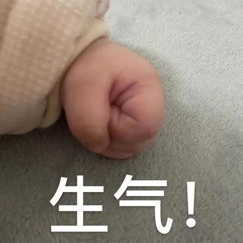  5.25表情包丨这没你的事了下去吧