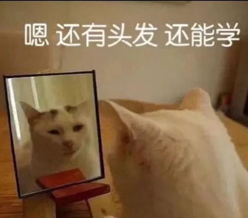  发型图片女千万别染的3种发色