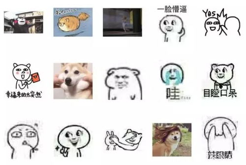  为什么表情包越转发越模糊,还会变绿