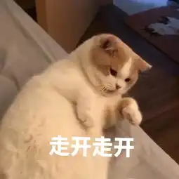  这一世只想做窝在你怀里的一只猫