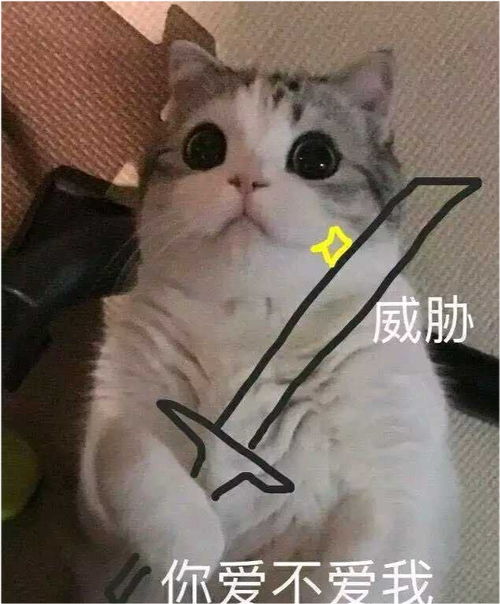  无标题