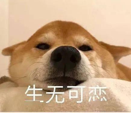  再上4天班,临汾人将集体放假