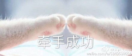  微信表情包猫爪伸手