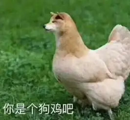 斗图王者专属沙雕表情,皮到不能自主呼吸,威力伤害太大了